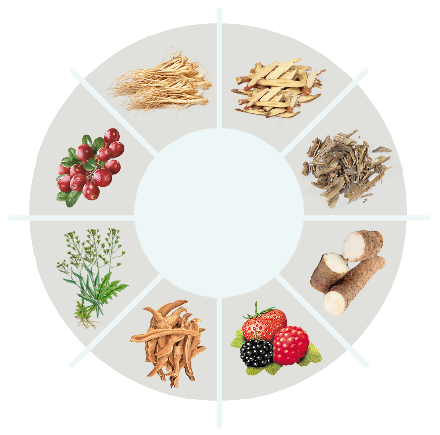 GelatinMeister ingredient circle